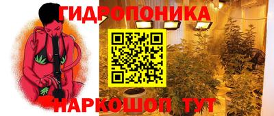 соль ск Пушкино