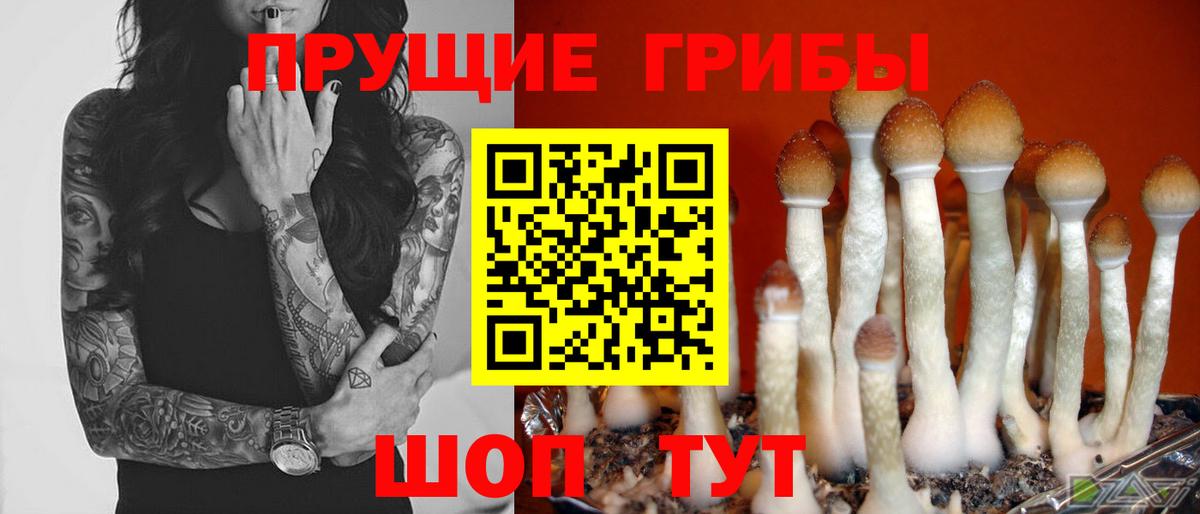 Псилоцибиновые грибы ЛСД  Вход с VPN  Светлоград  Галлюциногенные грибы GOLDEN TEACHER 
